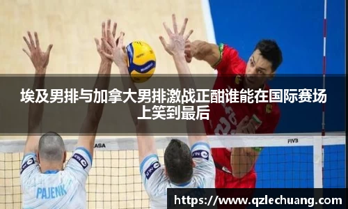 DG视讯官方网站