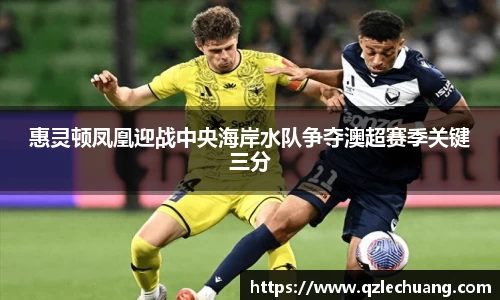 DG视讯