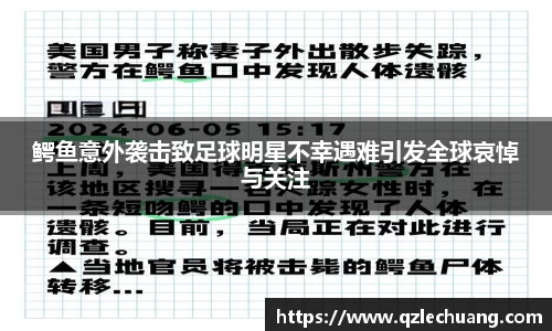 DG视讯官方网站