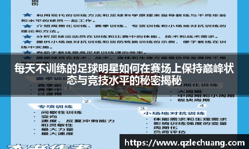 DG视讯平台