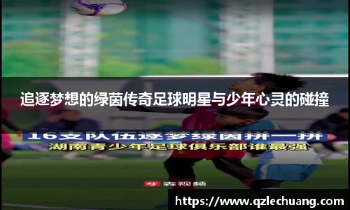 DG视讯官网